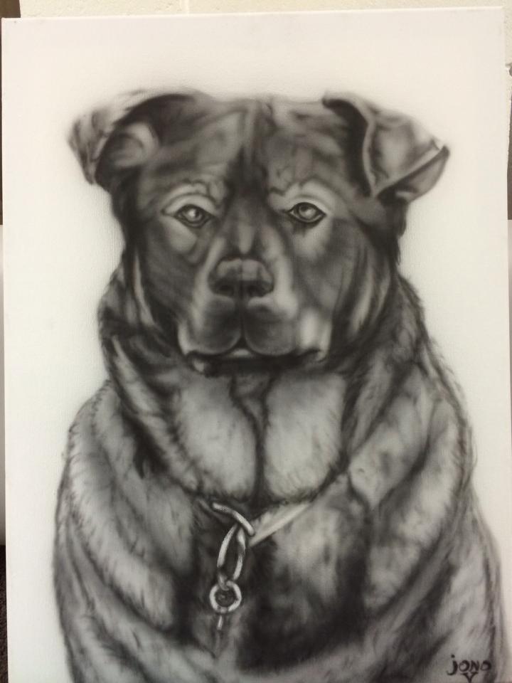 Animals artwork